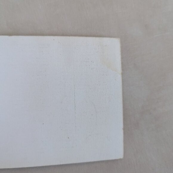 Vintage Wild Flowers of America Paperback Pocket Picture Reference Book 1932 - Picture 14 of 14